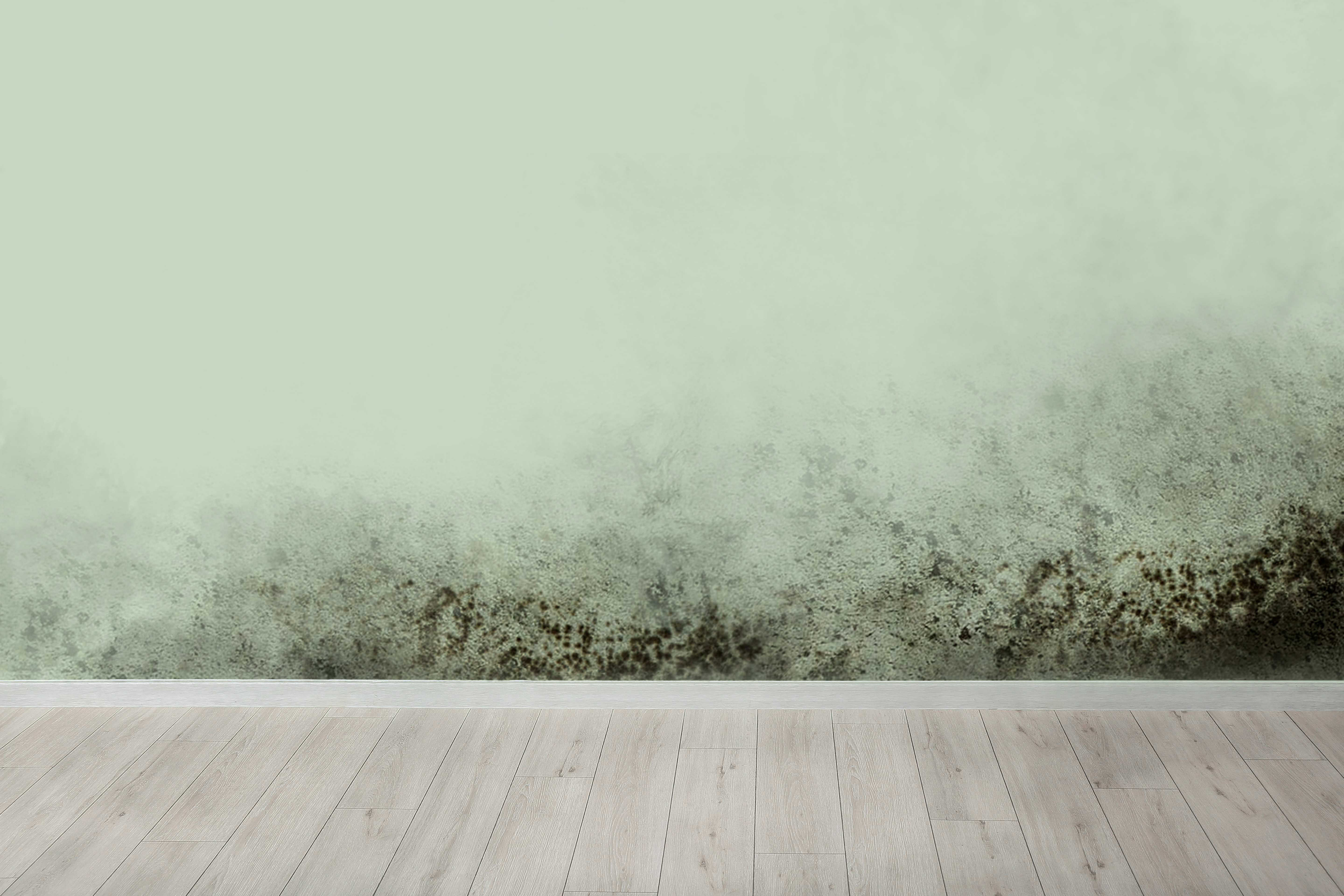 Professional restoration equipment