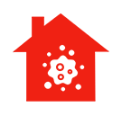 Mold Remediation Services